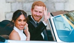 最新爆料185号梅根图片,揭开神秘面纱背后的故事